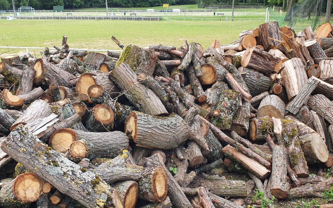 Distribution de bois aux habitants