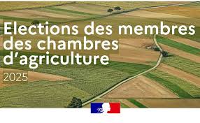 Élections chambres d’agriculture de région d’Île-de-France 2025