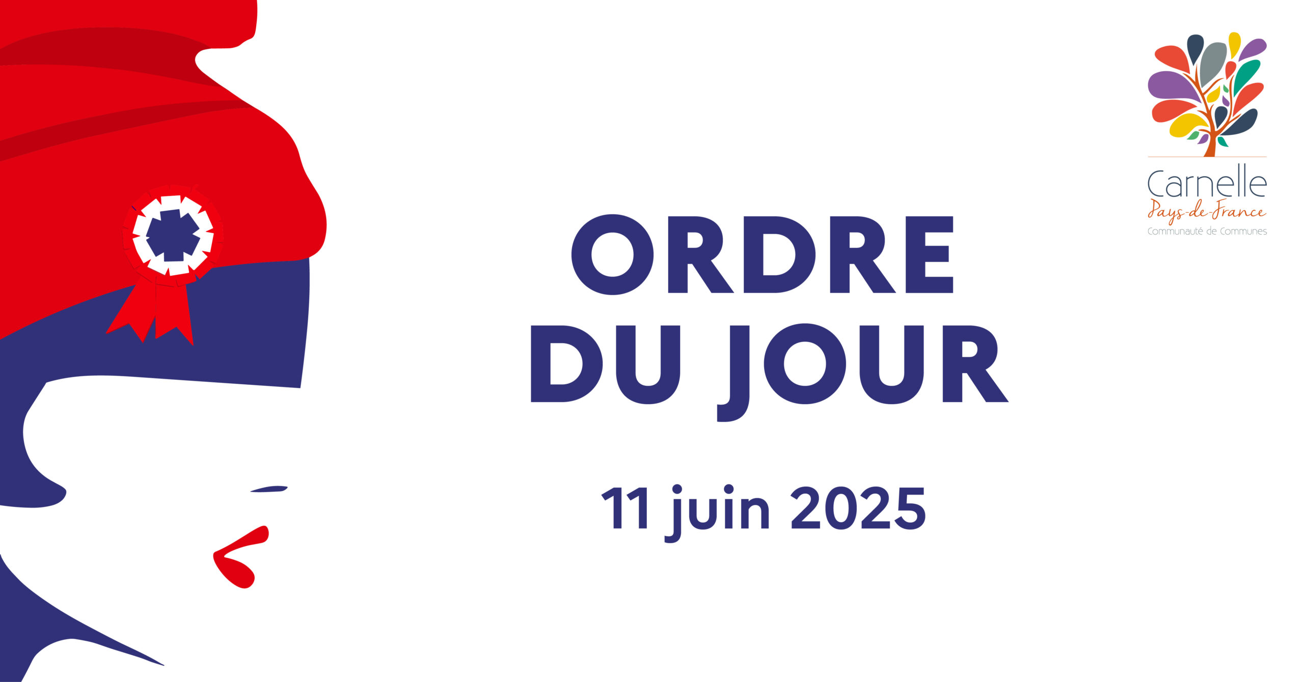 ORDRE DU JOUR C3PF 🔵⚪️🔴