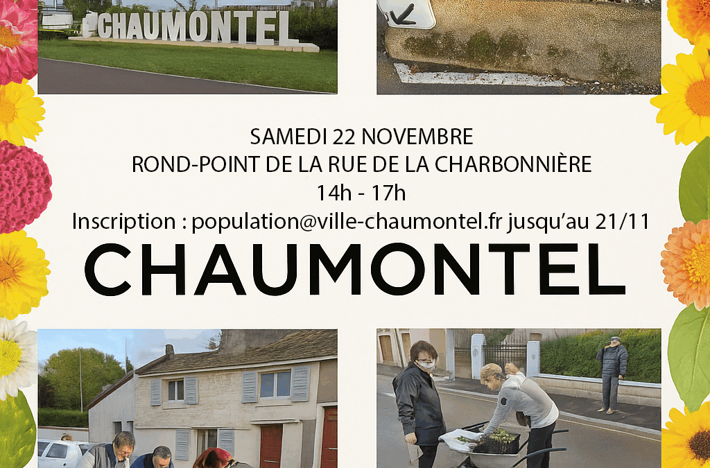 OPERATION « JE JARDINE MA VILLE » A CHAUMONTEL – PHASE 2