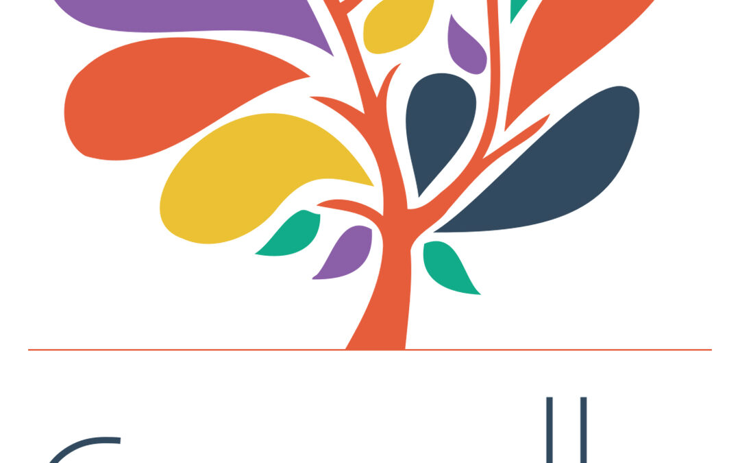 Réunion du Conseil Communautaire du 11 février 2026