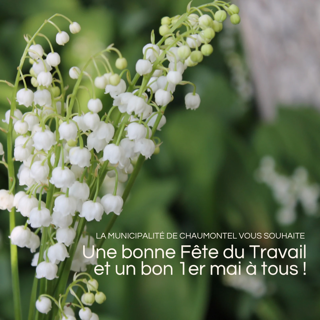 Fête du travail : 1er mai